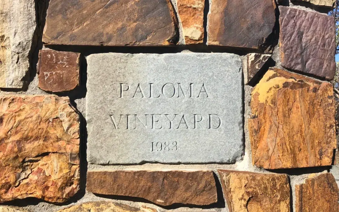 photo of paloma vineyard stone on wall from 1983