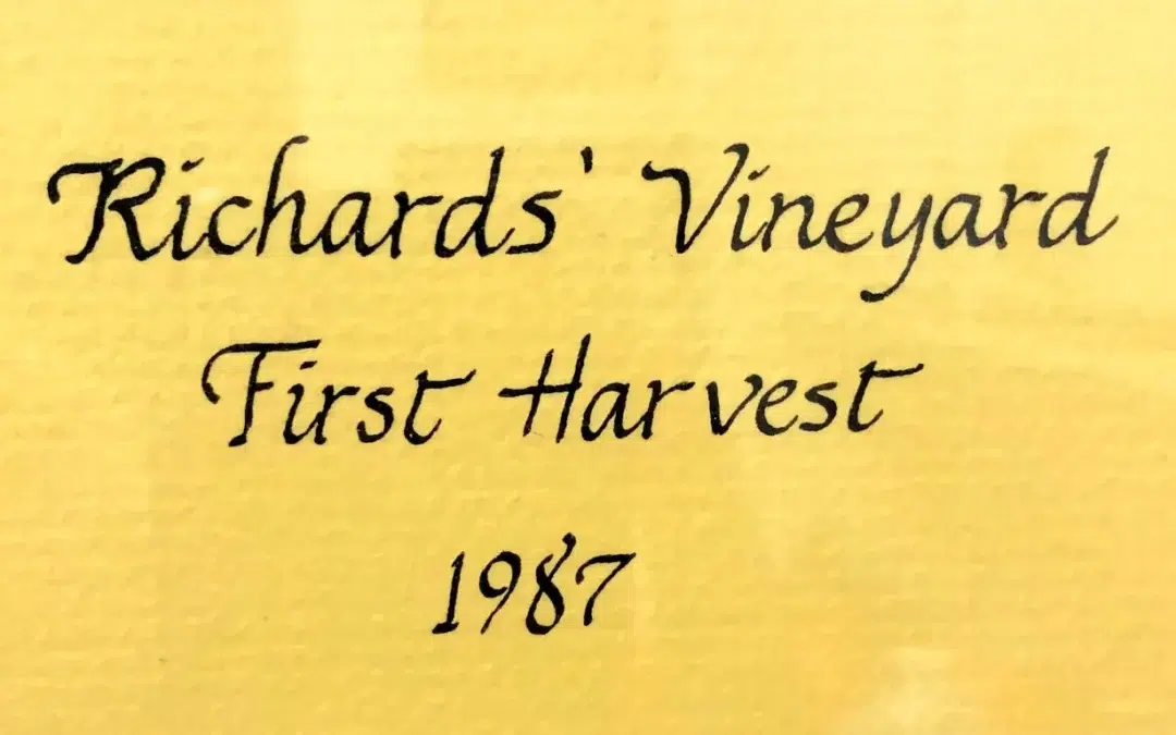 richards vineyard first harvest from 1987