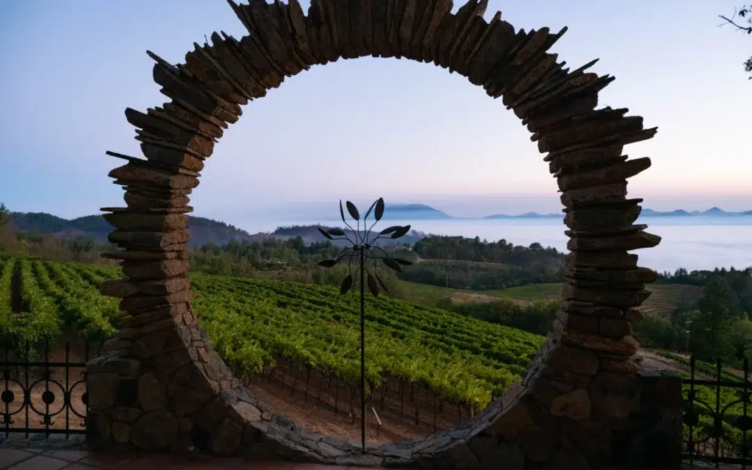 A circular stone arch overlooking a vineyard.
