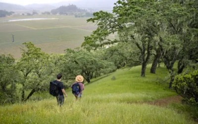 Outdoor Adventures: The Best Hiking in the Napa Valley!