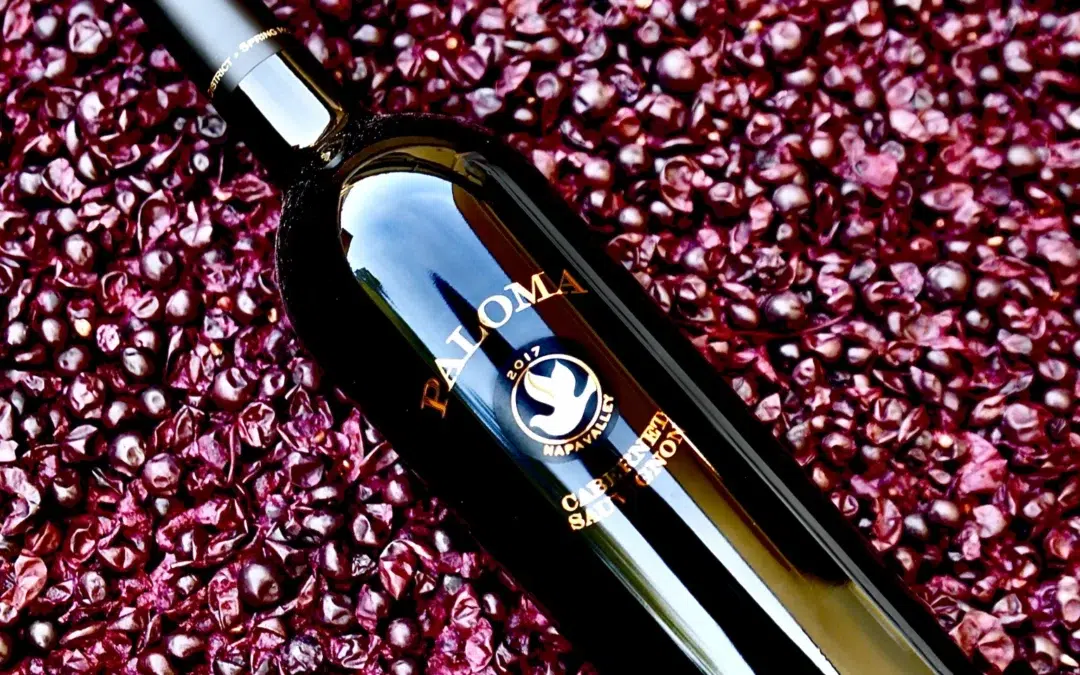 Paloma cabernet sauvignon bottle laying on dried grapes