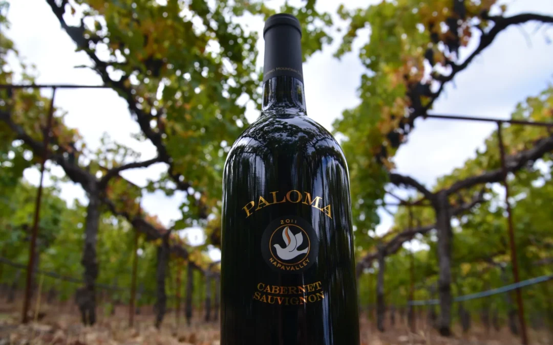Paloma cabernet sauvignon bottle in between vineyard rows