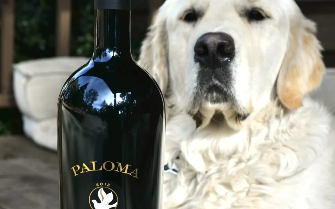 Paloma merlot bottle with dog in the back