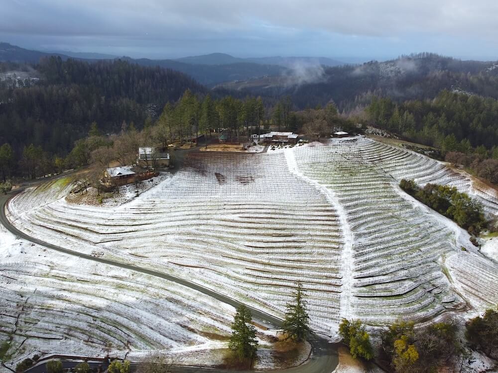 picture from above of the vineyards with snow