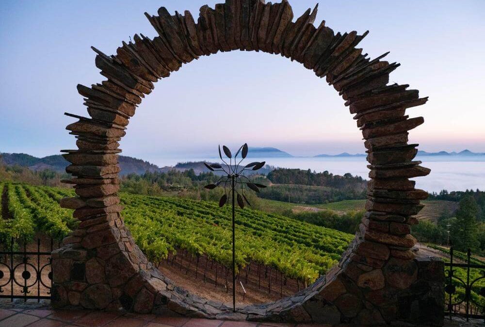 sun sculpture with vineyards in the background