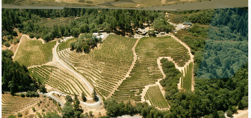 vineyard photo from above
