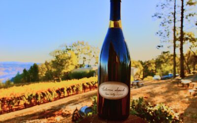 Laura’s Tasting Notes: The 2004 Paloma Syrah