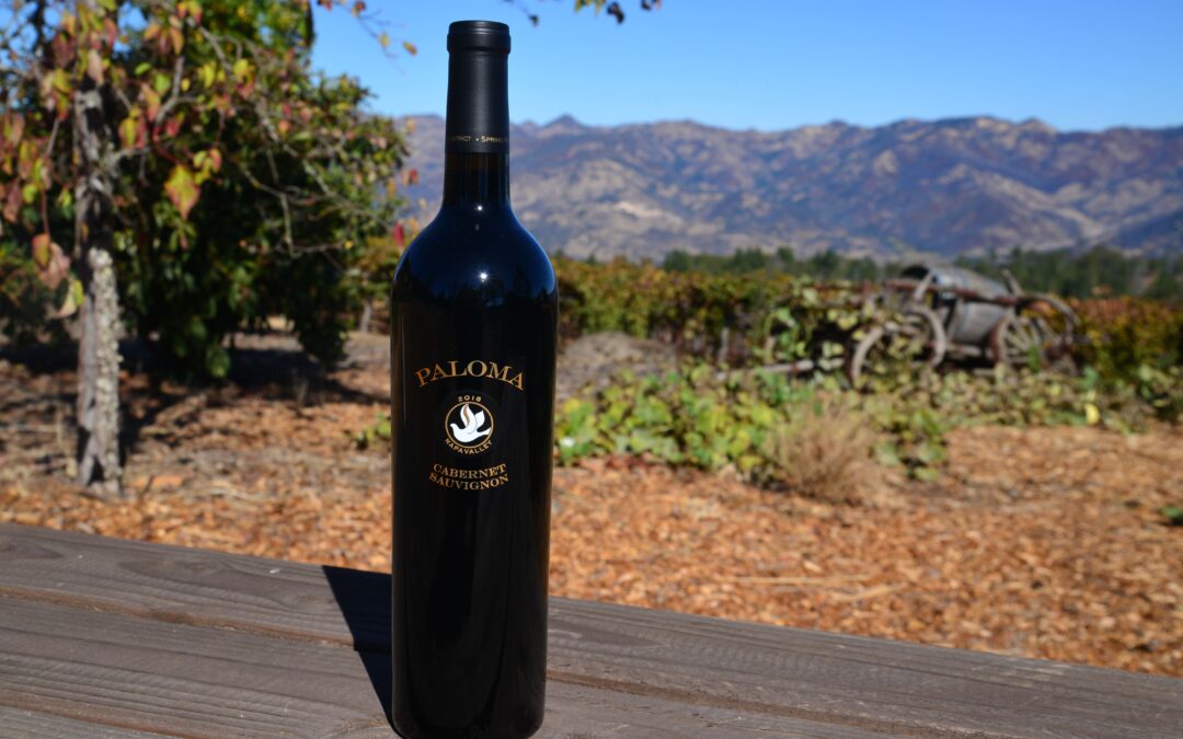 The 2018 Paloma Cabernet Sauvignon