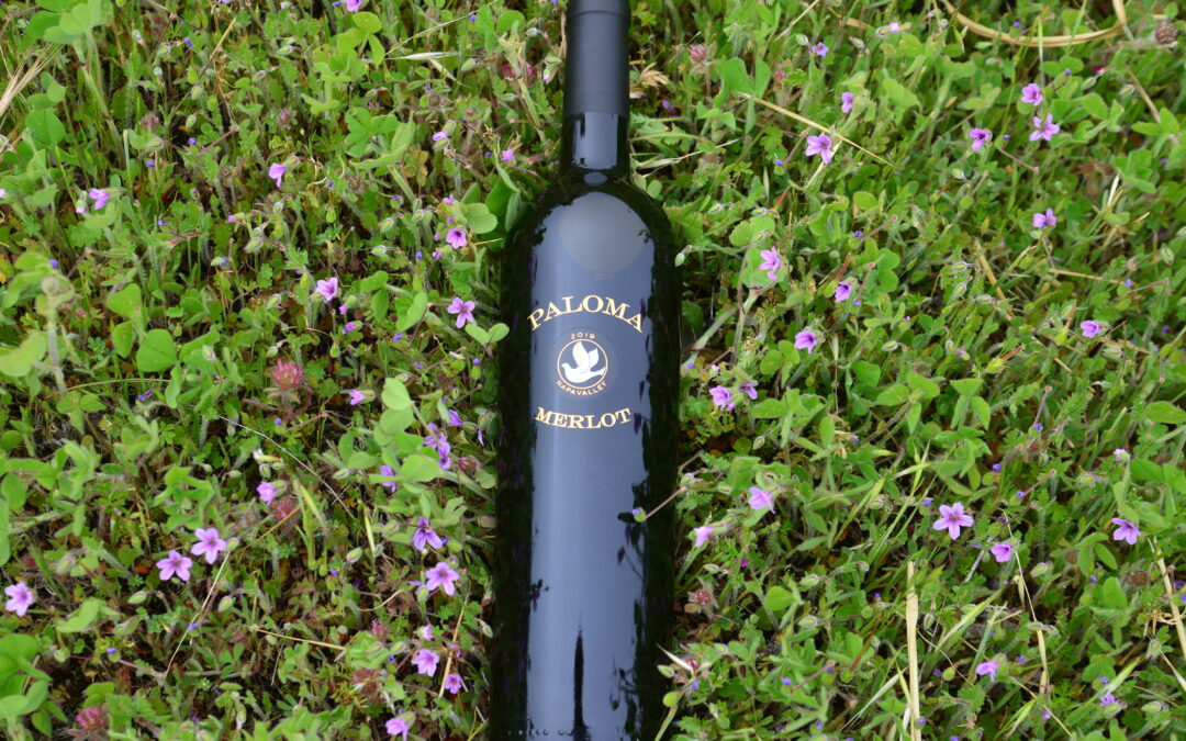 Laura’s Tasting Notes: The 2019 Merlot