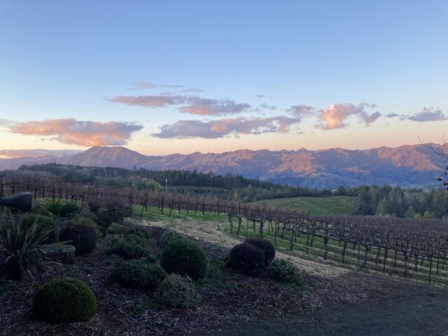 Napa Valley Exploring: The Best Scenic Drives & Vineyard Views - Paloma  Vineyards